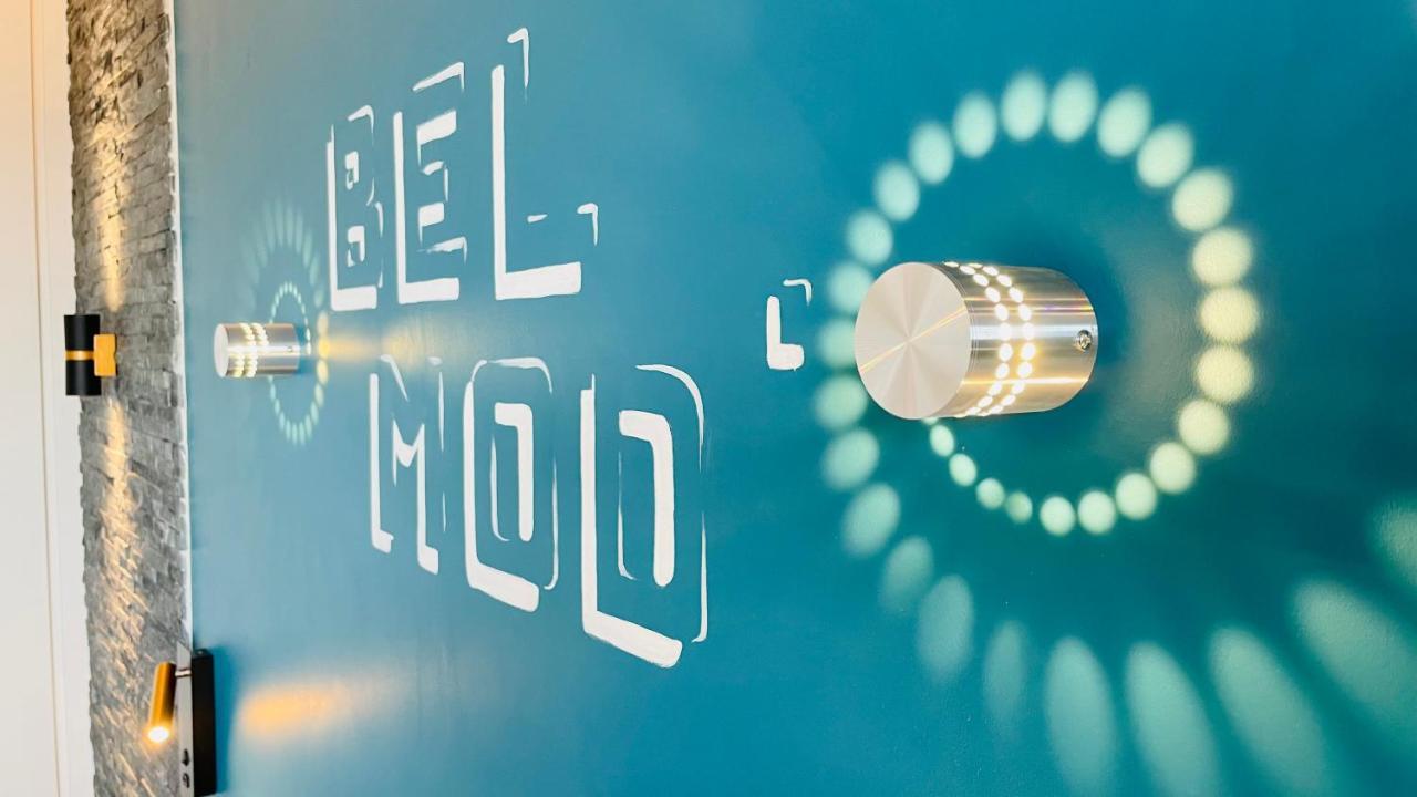 Studio Bel-Mod Bugey - Belvedere Moderne 里昂 外观 照片